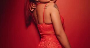 අනියම්පෙමැක​