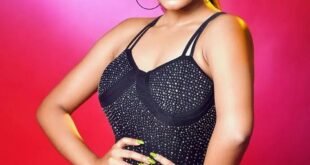 චතුරයගෙ වලත්ත වැඩ
 – Sinhala Wal Katha
