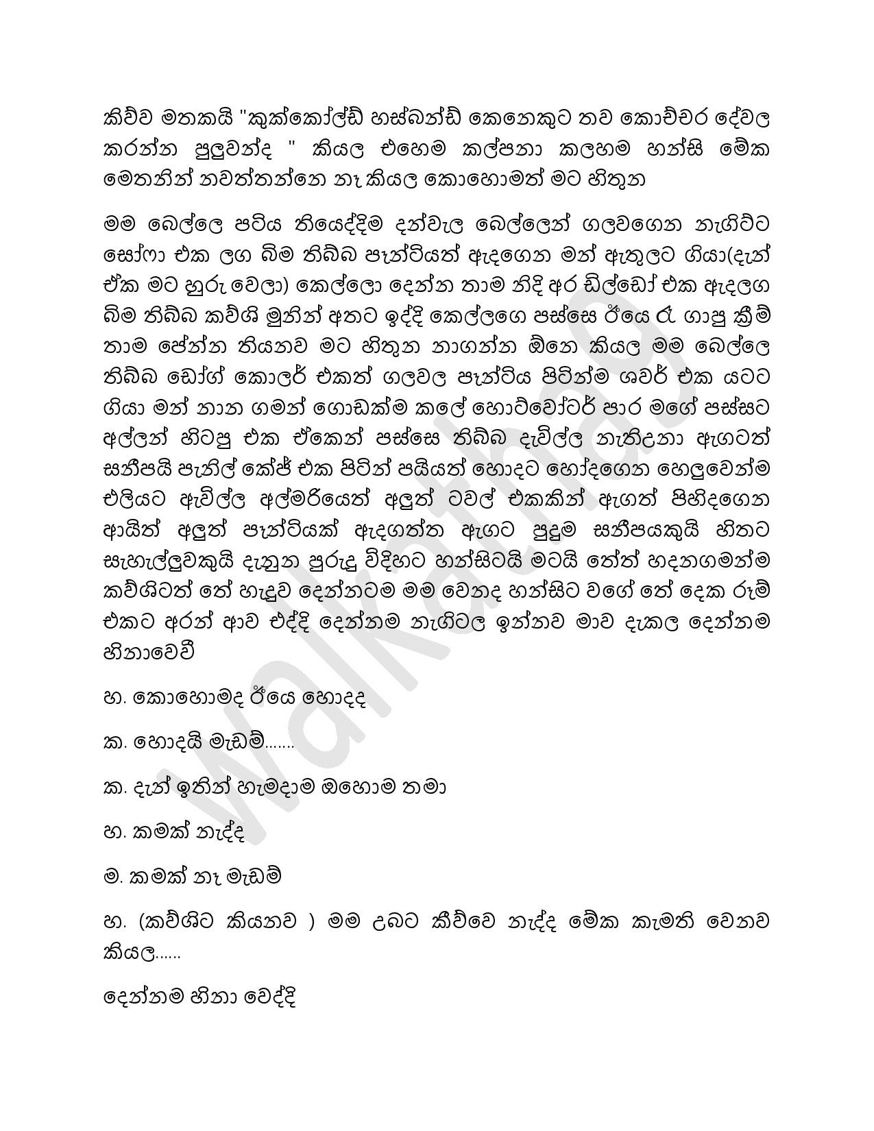 AVvXsEgYiNG Lab2HZnIaPumElTu21G1rlMe8 walkatha5 Official Sinhala Wal Katha සිංහල වල් කතා