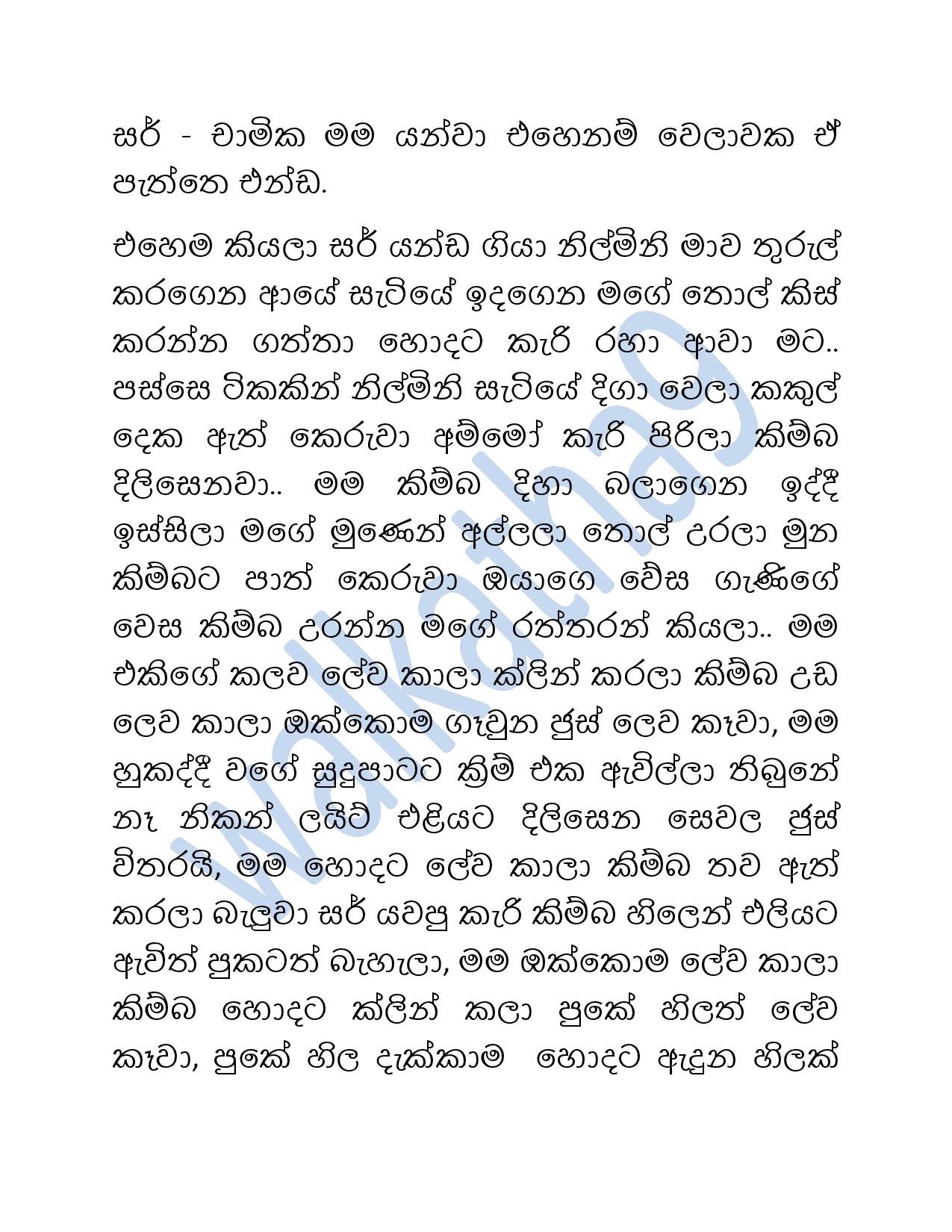 Mage+Wesa+Gani+08 page 021 walkatha5 Official Sinhala Wal Katha සිංහල වල් කතා