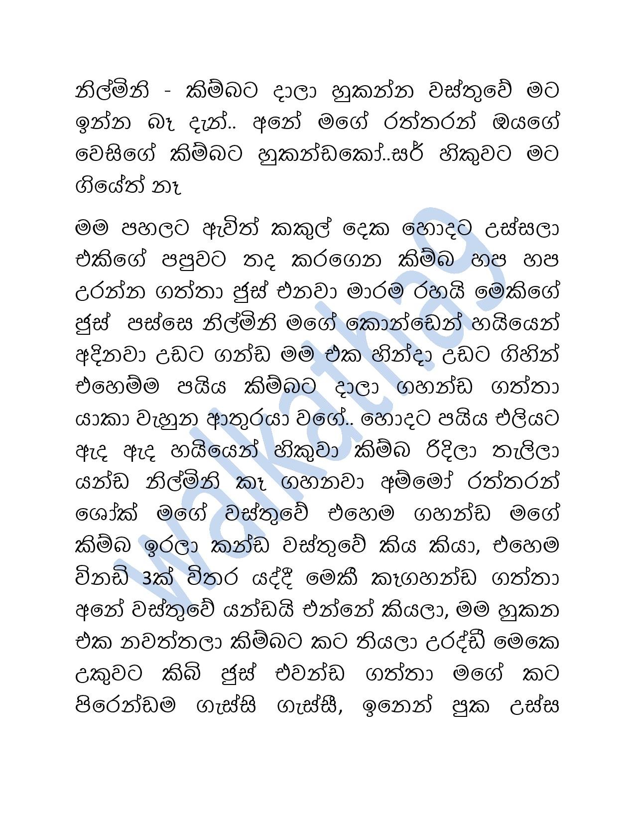 Mage+Wesa+Gani+08 page 024 walkatha5 Official Sinhala Wal Katha සිංහල වල් කතා