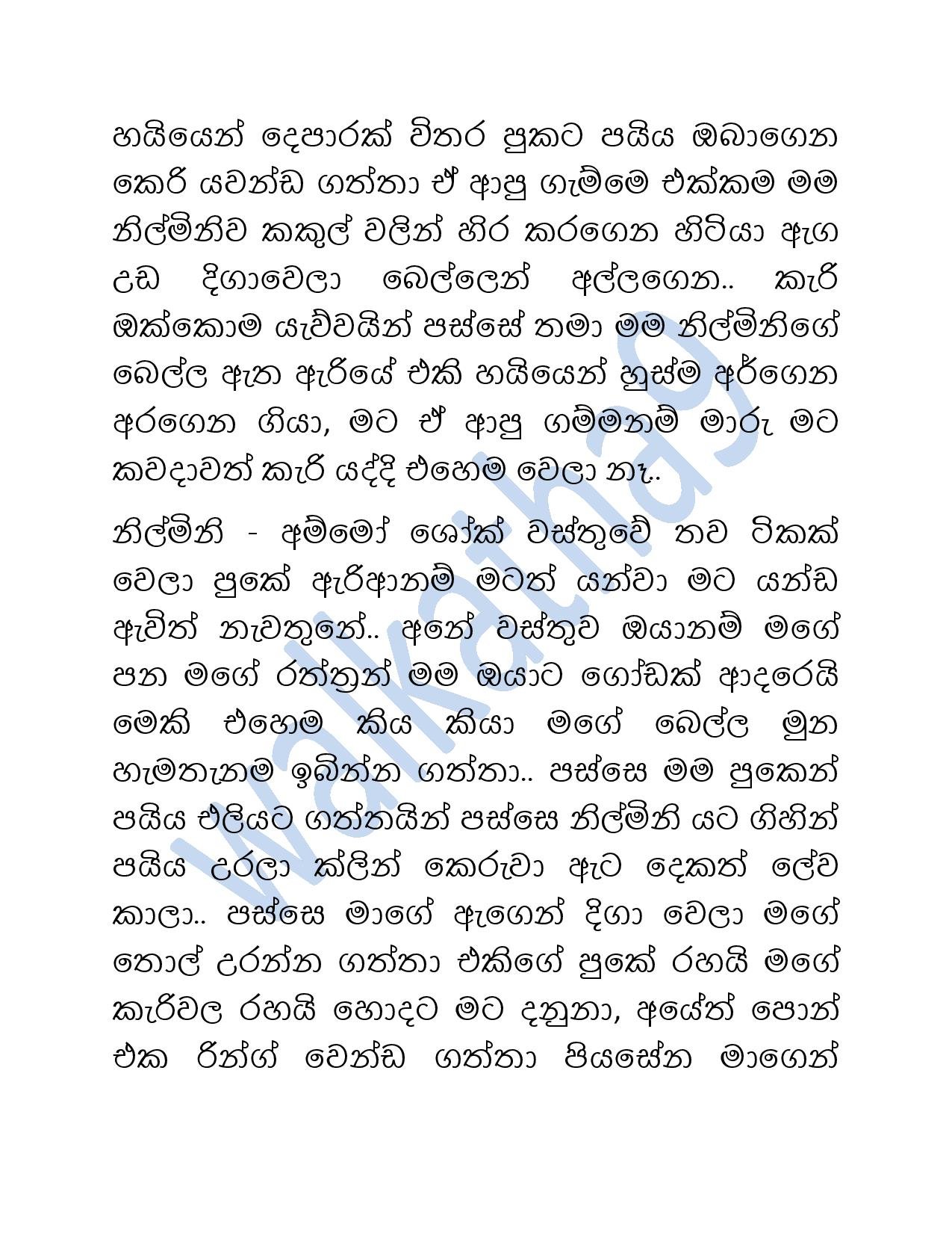 Mage+Wesa+Gani+08 page 029 walkatha5 Official Sinhala Wal Katha සිංහල වල් කතා