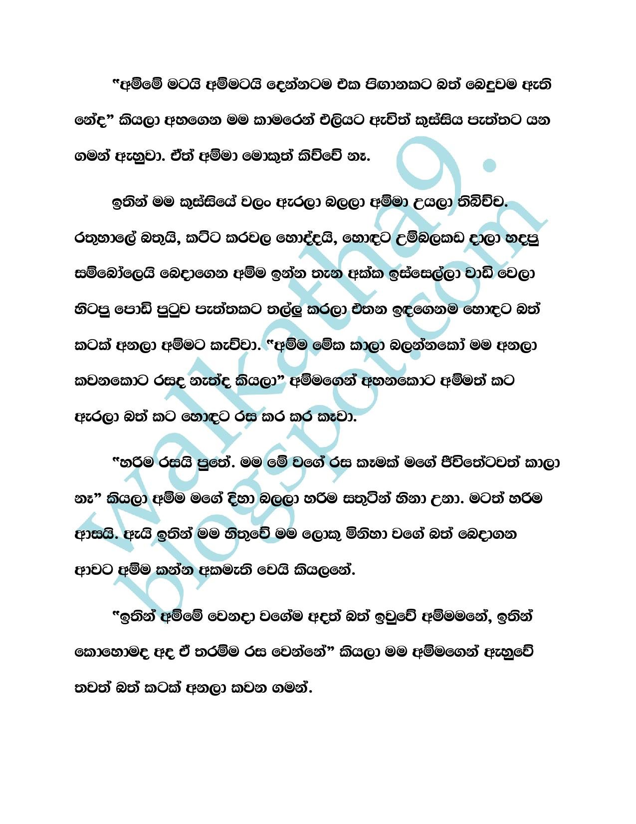 Mathru+Premaya+05 page 006 walkatha5 Official Sinhala Wal Katha සිංහල වල් කතා