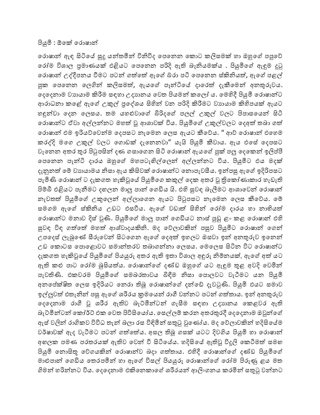 Sambandayaka+Sathuta+2 page 004 walkatha5 Official Sinhala Wal Katha සිංහල වල් කතා